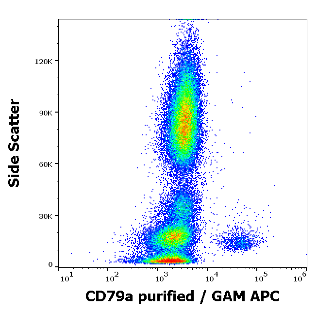 Anti-Hu CD79a Purified
