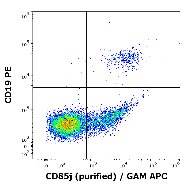 Anti-Hu CD85j Purified
