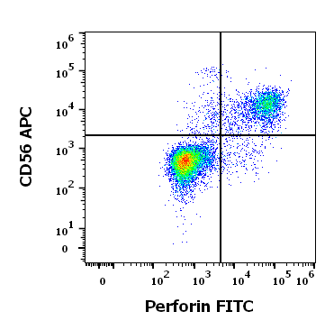 Anti-Perforin FITC