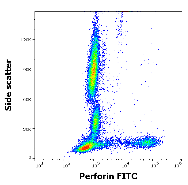 Anti-Perforin FITC