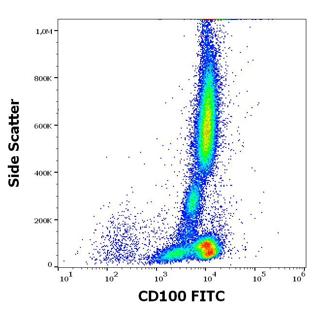 Anti-Hu CD100 FITC