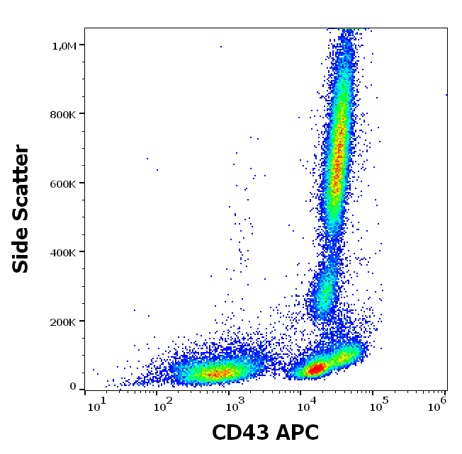 Anti-Hu CD43 APC