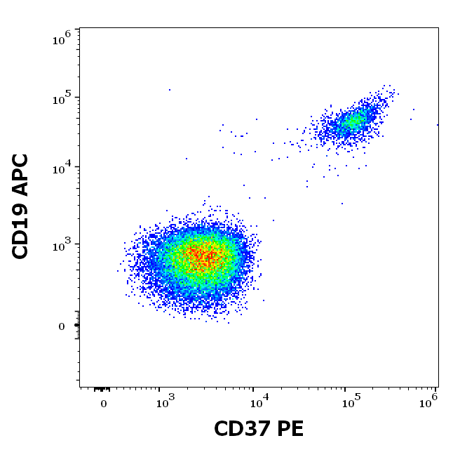 Anti-Hu CD37 PE