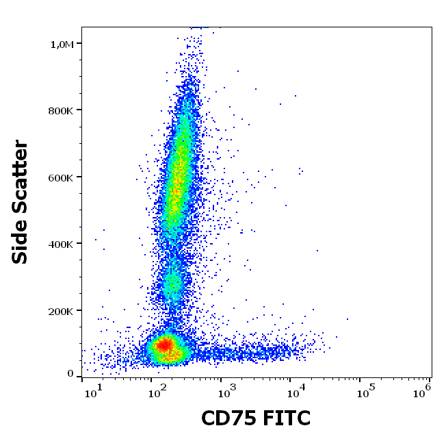 Anti-Hu CD75 FITC