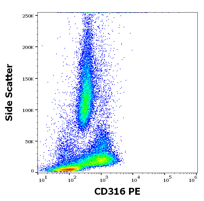 Anti-Hu CD316 PE