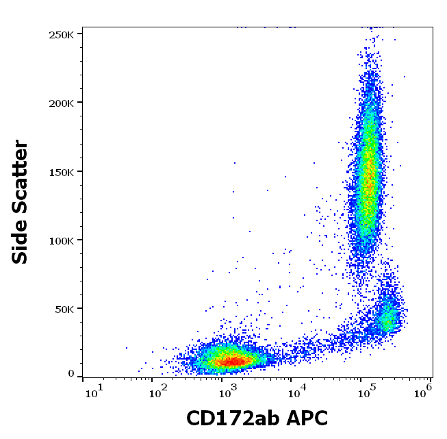 Anti-Hu CD172ab APC