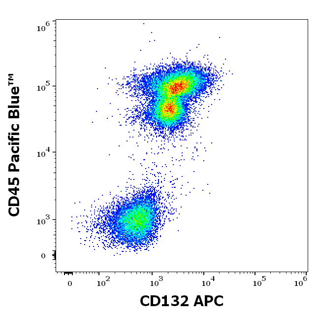 Anti-Hu CD132 APC