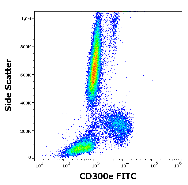 Anti-Hu CD300e FITC