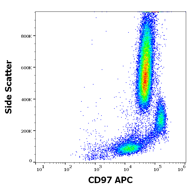 Anti-Hu CD97 APC