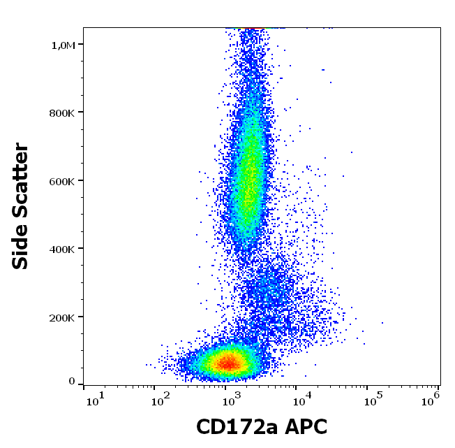 Anti-Hu CD172a APC