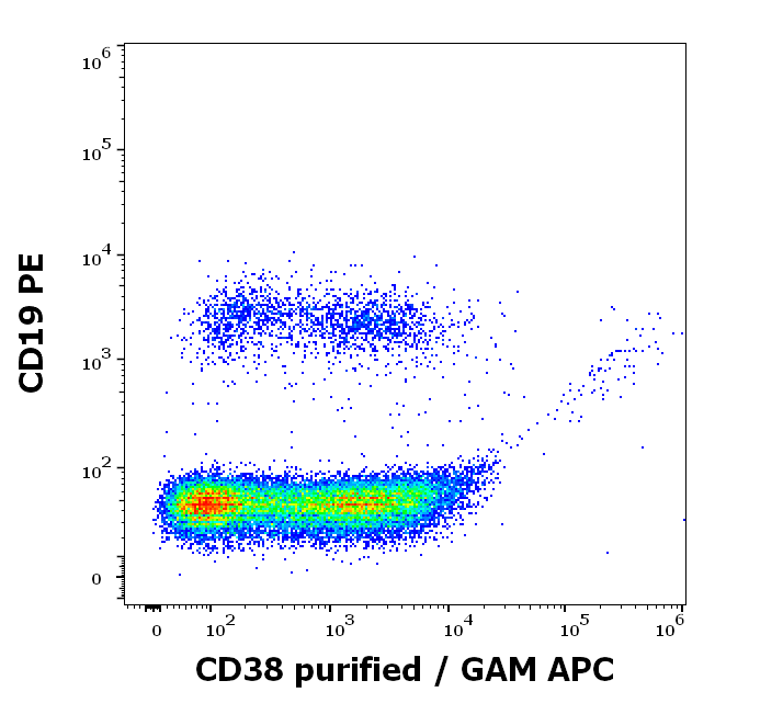 Anti-Hu CD38 Purified