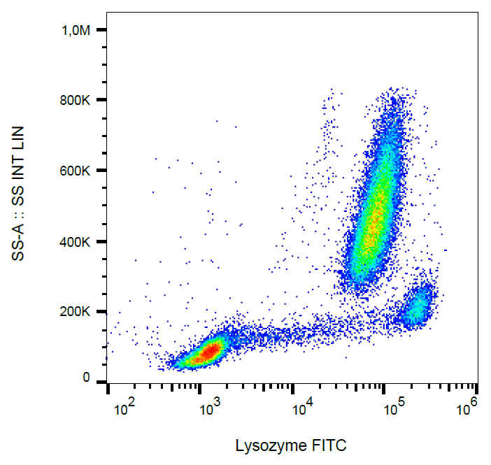 Anti-Lysozyme FITC