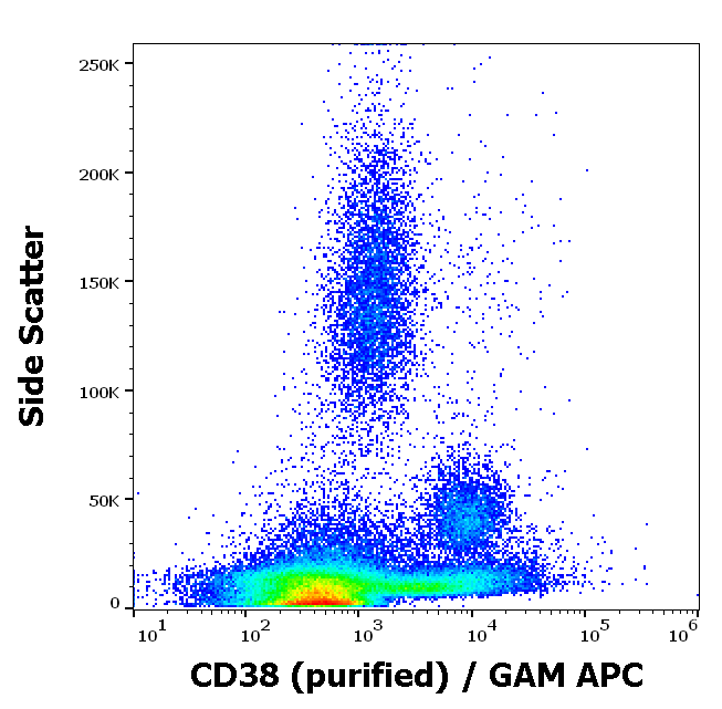 Anti-Hu CD38 Purified