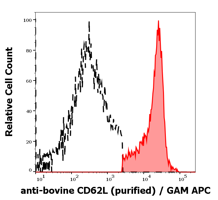 Anti-Bov CD62L Purified