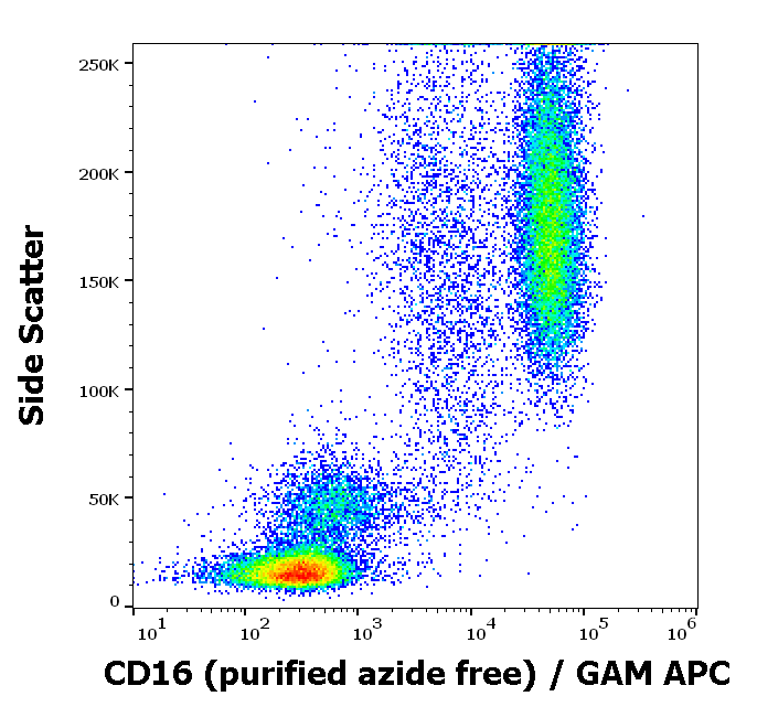 Anti-Hu CD16 Purified Azide Free