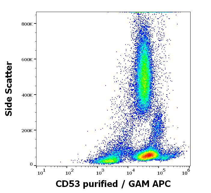 Anti-Hu CD53 Purified