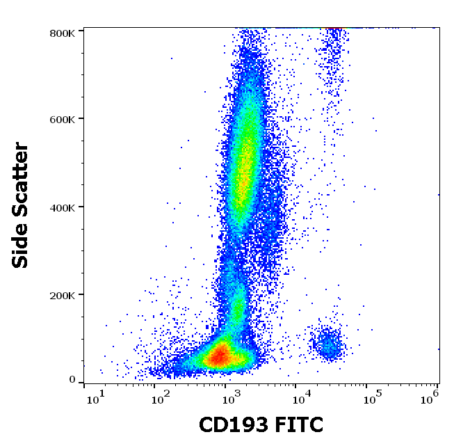 Anti-Hu CD193 FITC