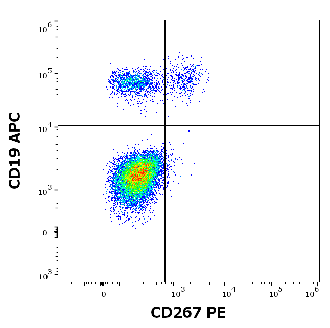 Anti-Hu CD267 PE