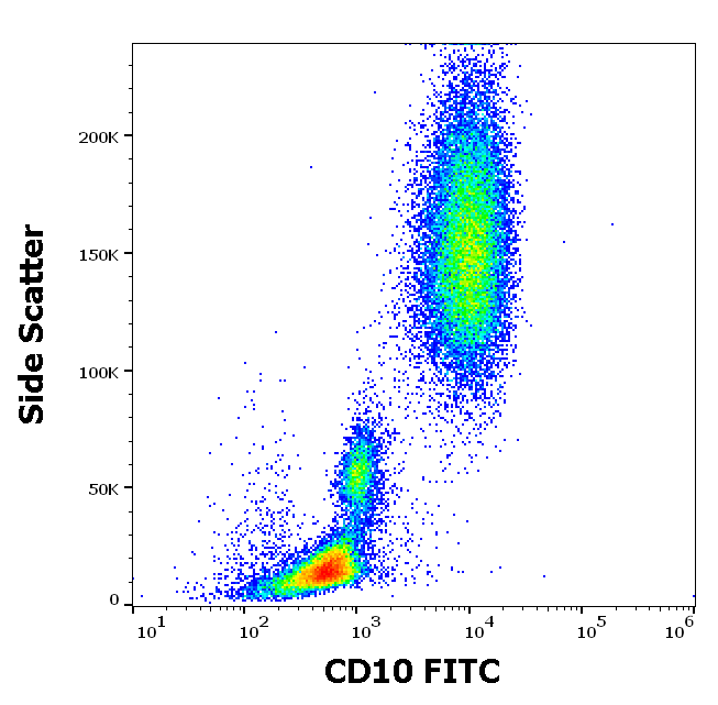 Anti-Hu CD10 FITC