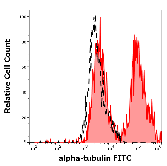 Anti-alpha-Tubulin FITC