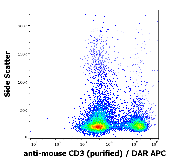 Anti-Ms CD3 Purified