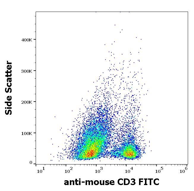 Anti-Ms CD3 FITC