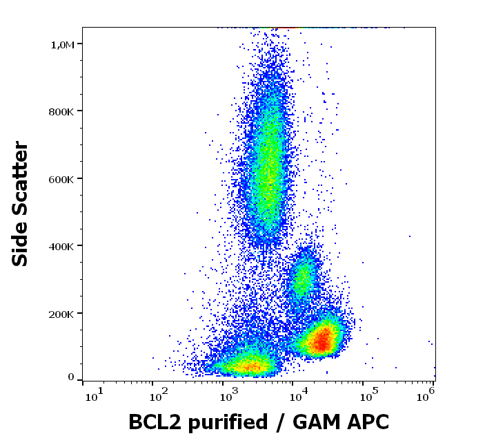 Anti-Hu BCL2 Purified