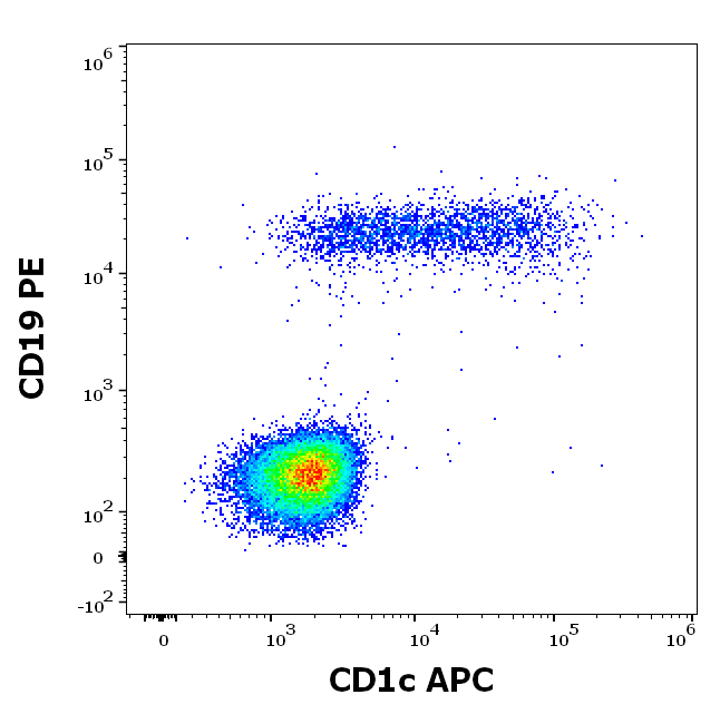 Anti-Hu CD1c APC