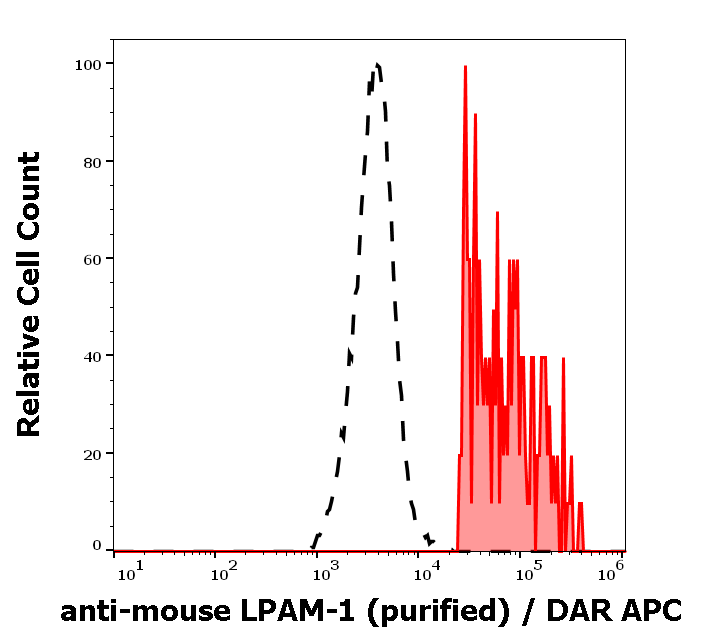 Anti-Ms LPAM-1 Purified