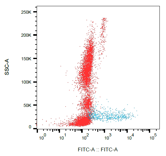 Anti-Hu CD138 FITC