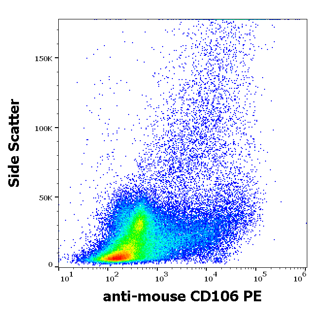 Anti-Ms CD106 PE