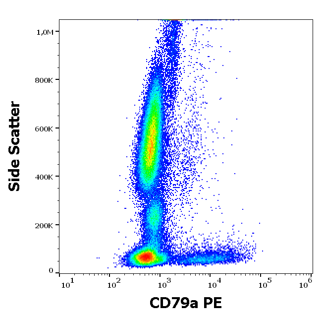Anti-Hu CD79a PE