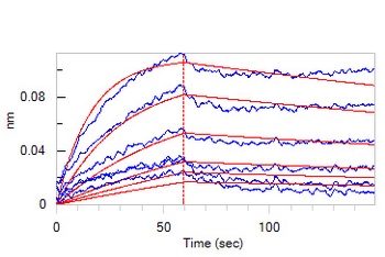 Canine Growth Hormone R Protein, His Tag