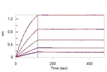 Mouse VEGF R1 Protein, mFc Tag