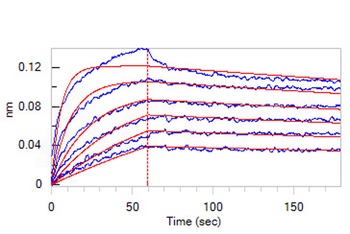 Human IL-13 R alpha 2 Protein, His Tag