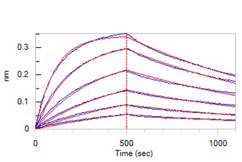 Human IL-17F Protein, His Tag