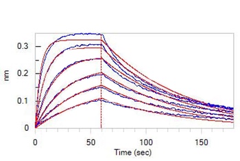 Mouse IFN-alpha 1 Protein, His Tag