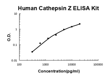 Human Cathepsin Z ELISA Kit