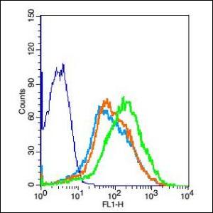BTN2A1 + BTN2A2 Rabbit Polyclonal Antibody
