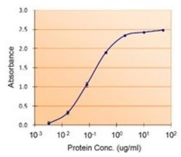 PAI1/SERPINE1 Antibody