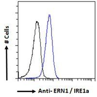 ERN1/IRE1a Antibody