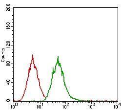 EGFR