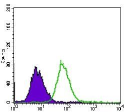 EGFR mutant