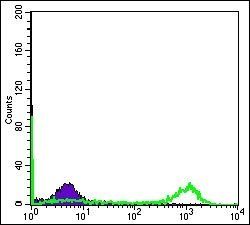 EIF4E