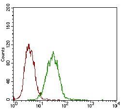 EPCAM