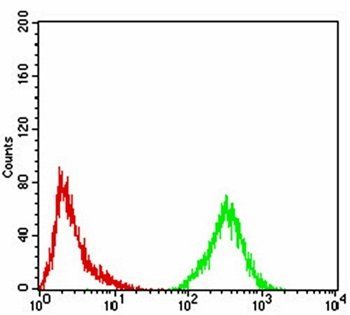 phospho-Eralpha(Tyr-537)