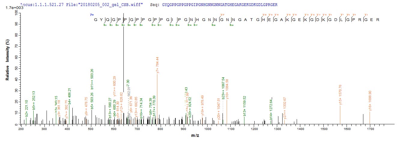 Mouse C1qtnf3 protein