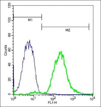 TCTN3 Rabbit Polyclonal Antibody