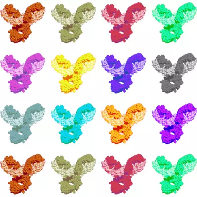 Recombinant Antibodies