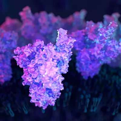 Variant Spike Proteins